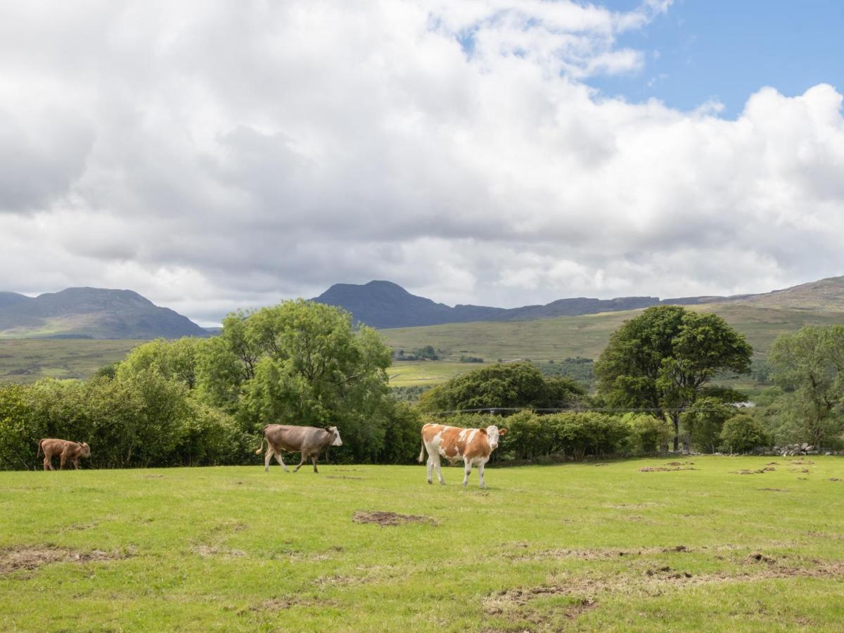 Hendre Cottage Trawsfynydd 外观 照片